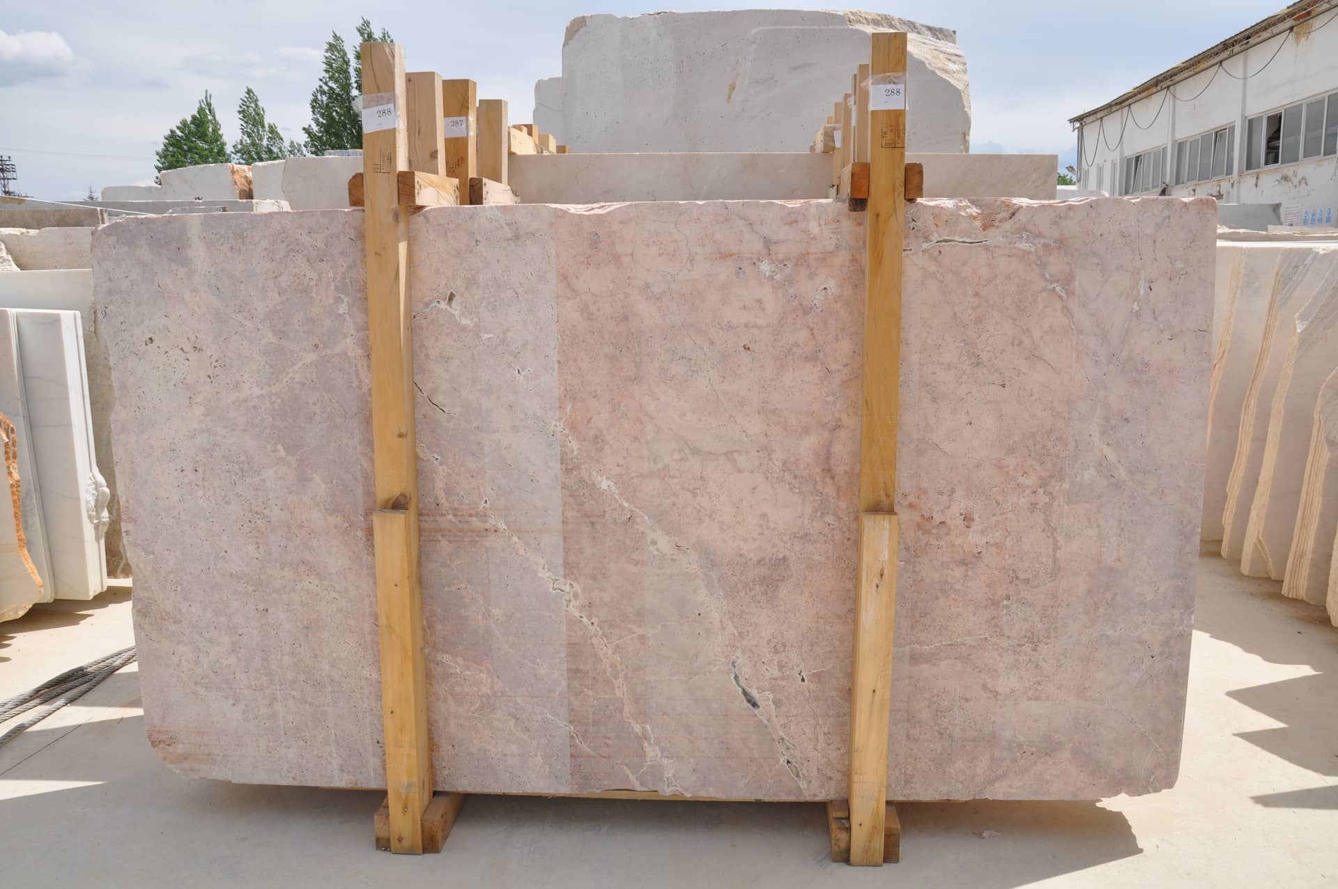 Flamingo raw travertine slab in Pink
