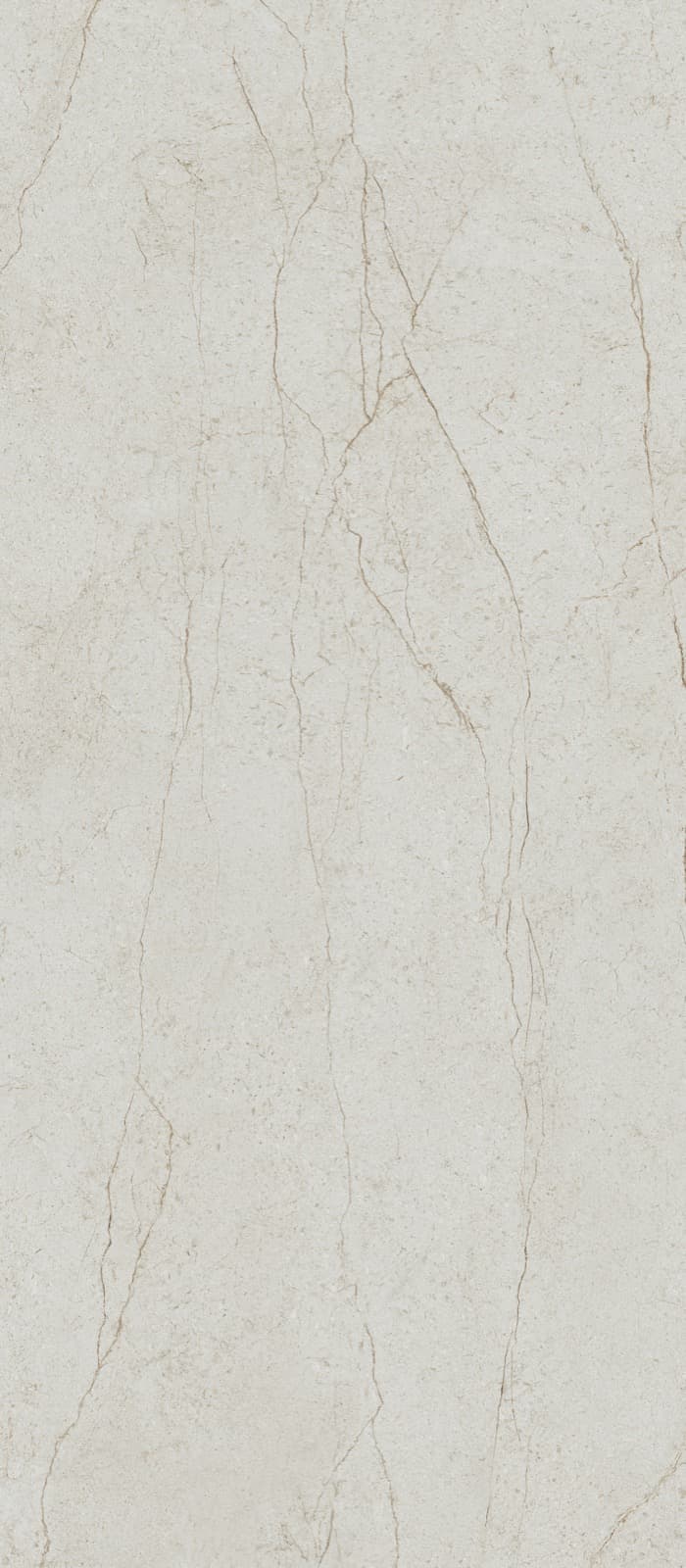 Alpina Bone matte ceramic_slab slab in Bone